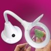 Lightcraft LC8082LED-EU LED Compact Flexi Magnifier Lamp (EU Plug) / Kompaktowa Giętka Lampka Powiększająca LED